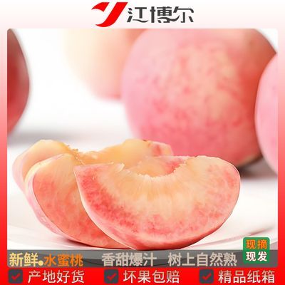 【运城水蜜桃】脆甜软桃剥皮原产地现摘应季时令水果新鲜脆桃毛桃