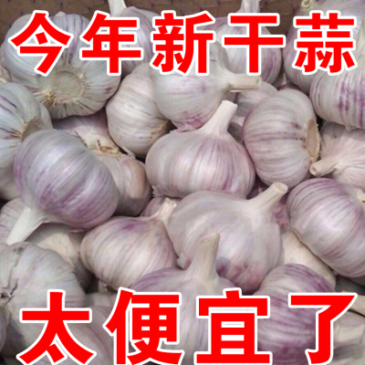 【超低价】河南大蒜新干蒜大蒜大蒜头批发3斤5斤大蒜头