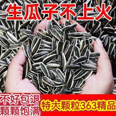 【大颗粒】原味瓜子葵花籽内蒙古直发大颗粒生熟可选瓜子零食批发