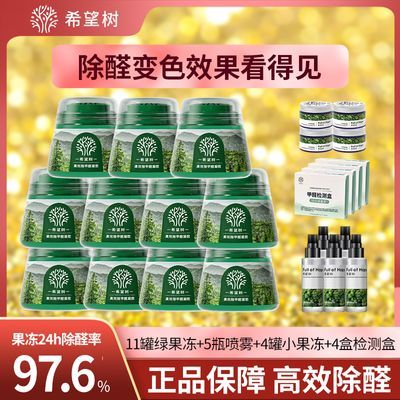 希望树小绿罐二代除甲醛神器车用新房急入住活性炭包吸去甲醛克星