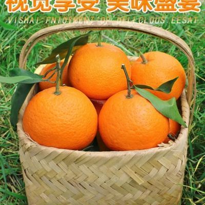 【现摘现发】晚季套袋果冻橙 手剥橙应季水果柑橘原产地直发到家