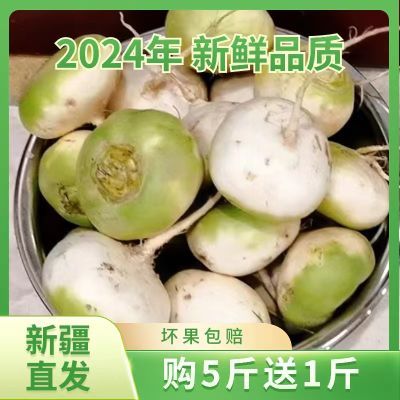 恰玛古新疆柯坪县新鲜蔬菜恰玛古强碱性食品调节酸碱平衡一斤包邮