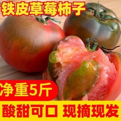 正宗铁皮柿子丹东草莓铁皮西红柿新鲜水果生吃孕妇自然熟应季番茄