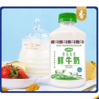 青海湖青海高原鲜牛奶500ml巴氏杀菌鲜牛奶儿童营养低温瓶装