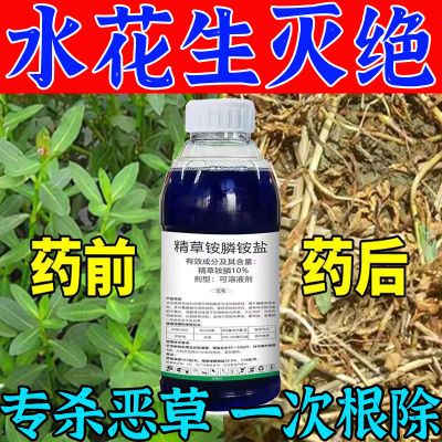 水花生专用除草剂水花生克星革命草除草剂杀水花生水花生专杀套餐