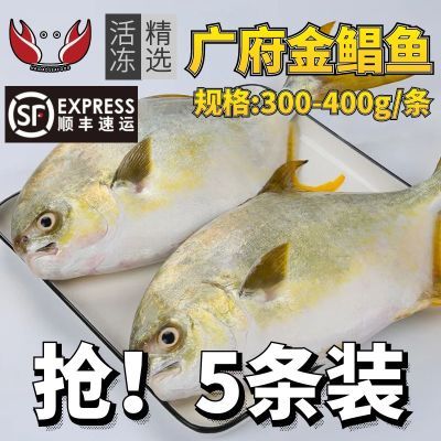 金鲳鱼300-400g5条新鲜特大鲳鳊鱼金昌海鱼鲜活海鲜平鱼