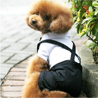 新款小狗西装背带薄款透气便携外出户外双肩出行泰迪四脚宠物衣服