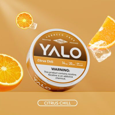YALO 新款口含袋小白袋VELO/ZYN系列 薄荷解瘾水果