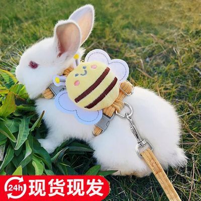 兔兔牵引绳可调节防挣脱兔绳小兔子侏儒兔宠物兔外出绳子溜兔绳子