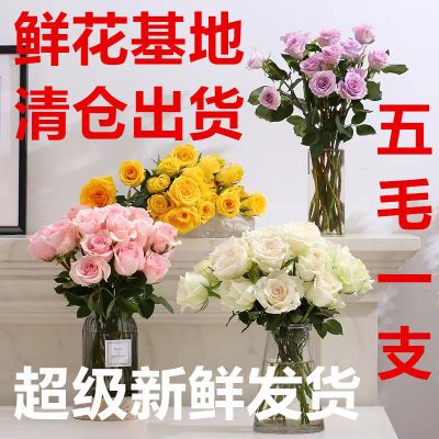 基地直发高原红玫瑰鲜花云南鲜花玫瑰花红玫瑰花结婚家庭插花花束