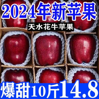 【超级补贴】天水花牛苹果新鲜甘肃蛇果应季粉面苹果水果批发整箱