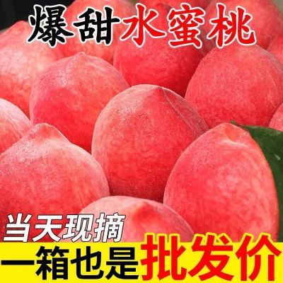 【现货】桃子水蜜桃新鲜现摘超甜脆水果批发当应季一整箱孕妇毛桃