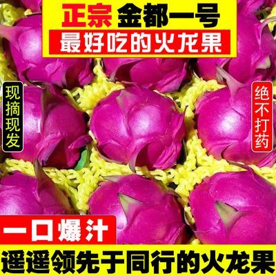 特价 当季金都蜜宝红心火龙果红肉 新鲜应季热带水果批发整箱孕妇