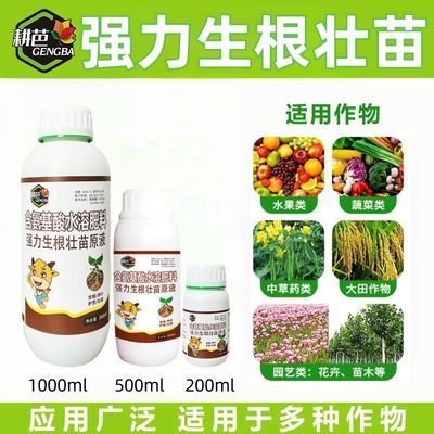 生根壮苗原液专用肥料果树蔬菜花卉移栽育苗快速生根壮苗剂通用