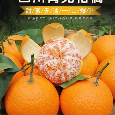 【现摘现发】晚季套袋果冻橙手剥橙应季水果柑橘产地直发皮薄汁多