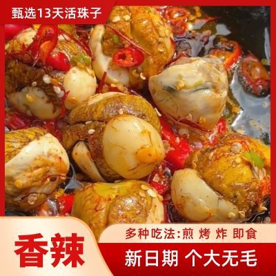 五香13天新鲜麻辣活珠子鸡胚蛋无毛开袋即食香辣钢化蛋真空非毛蛋