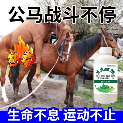 公马不发清性冷谈公马不打栏公马精少欲望差活力低快速促清欲通用