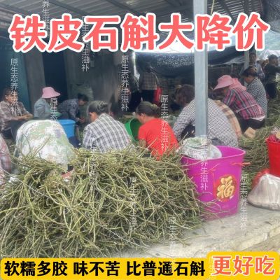 云南铁皮石斛鲜条5年鲜石斛正宗新鲜可食用煲汤特级正品限时抢购