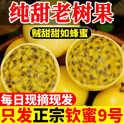 【精品筛选店】树上熟钦蜜9号黄金百香果正宗鸡蛋果当季新鲜水果