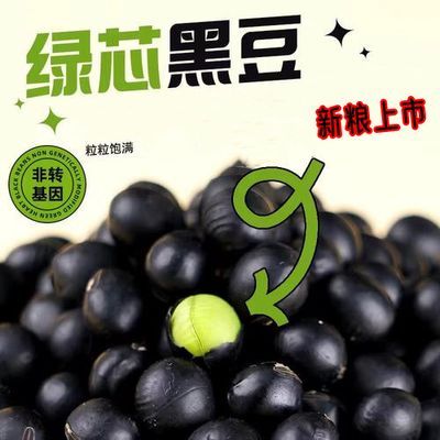 新绿心黑豆东北正宗非转基因五谷杂粮打豆浆专用醋泡熬粥青仁黑豆