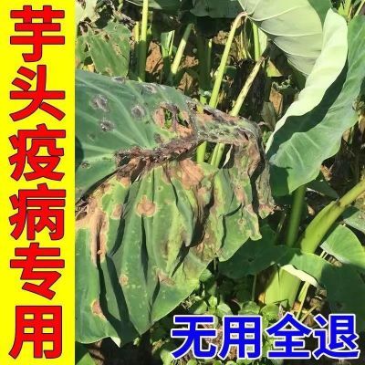 芋头病专用烂叶斑点疫病霜霉病铜钱病芋瘟病全治防治杀菌剂正品