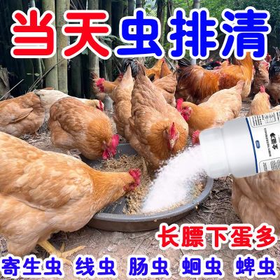 内外双驱】全驱净鸡鸭鹅通用家禽打虫驱虫药强效一次净虫孕畜可用