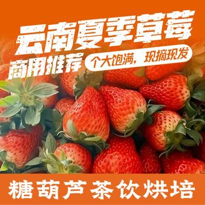 云南夏草莓新鲜商用批发奶茶店果酱烘焙糖葫芦整箱包邮大果摆摊