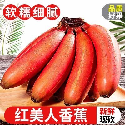 福建红美人香蕉新鲜水果现摘焦芭蕉小米蕉美人蕉2/4.5斤自然搭档