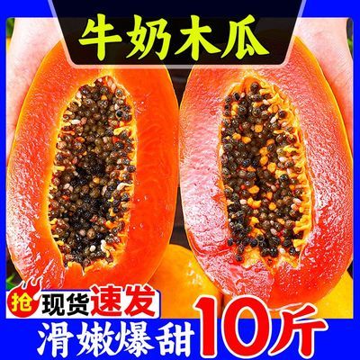 【爆甜】冰糖心红心木瓜应季当季牛奶木瓜即食新鲜水果一整箱包邮