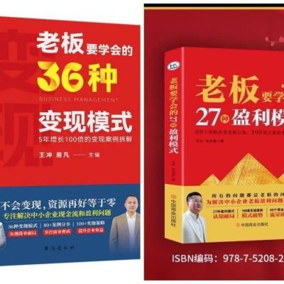 现货 2024王冲新书老板学会36种变现模式+27商业模式视频