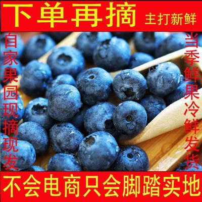 新鲜蓝莓当季大果孕妇宝宝辅食特大水果整箱包邮高山鲜果产地现摘
