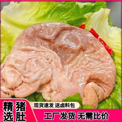 干净飞水熟猪肚熟食肉制品正宗原味猪大肚商用冷冻半成品