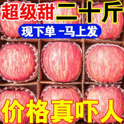 精选正宗陕西洛川红富士优质脆甜冰糖心苹果应季新鲜水果整箱批发