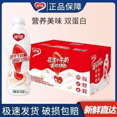 5月新货银鹭花生牛奶饮品450mlx15瓶蛋白营养饮料整箱特价批发