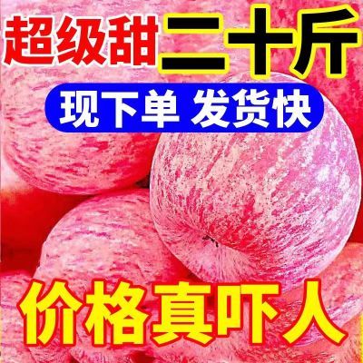 【脆甜】冰糖心丑苹果爆甜冰糖心脆甜红富士当季孕妇新鲜水果批发