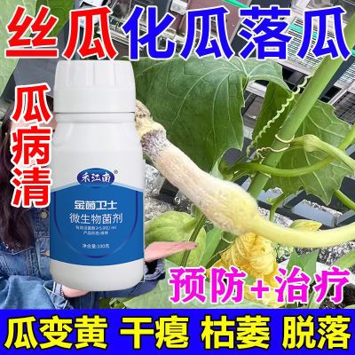 丝瓜病全治丝瓜病毒病专用药花叶卷叶病小叶黄叶曲叶病毒病杀菌药