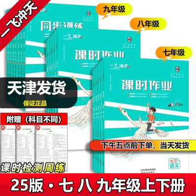 25新版【天津专用】一飞冲天课时作业七八九年级上下册同步训练