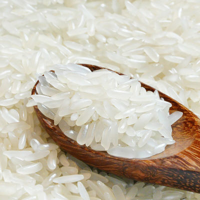 正宗猫牙米长粒香大米超长当季新米农家丝苗米煲仔饭专用