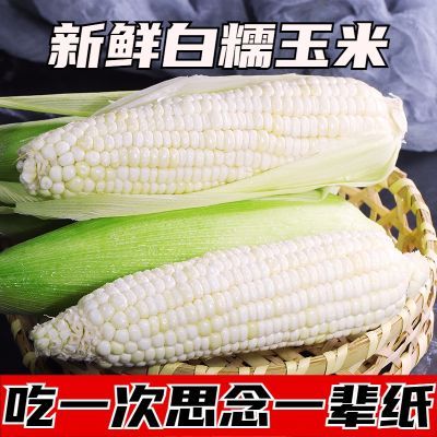 【5斤带皮白糯玉米】山西白糯大棒玉米带皮软糯香甜营养新鲜采摘