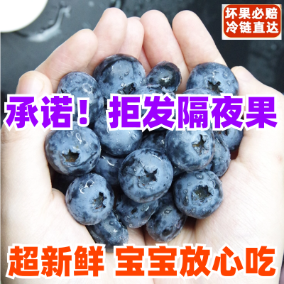 空运【自家果园直发】现摘蓝莓新鲜水果鲜果时令孕妇宝宝超大蓝莓