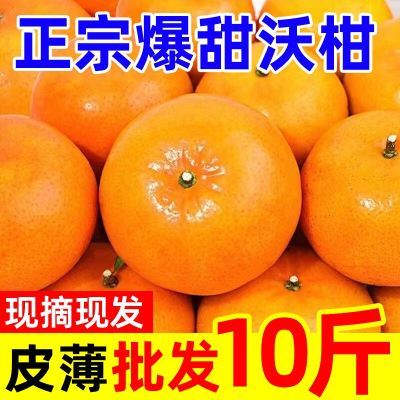 四川高山沃柑绿色食品A级带箱现摘有籽多汁纯甜当季水果整箱包邮