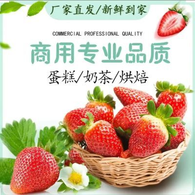 云南夏季新鲜酸甜草莓现摘商用冷饮奶茶果酱草莓整箱批发10斤/