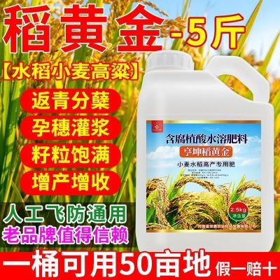 稻黄金水稻专用叶面肥增产生根壮苗分蘖返青柯杈抗病抗倒颗粒饱满