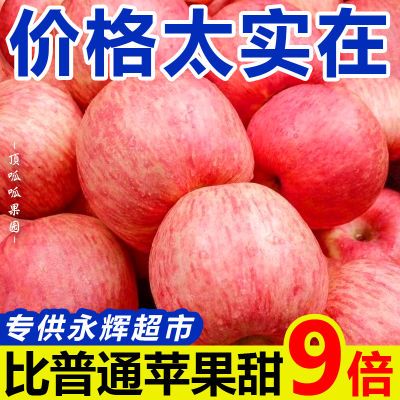 【超低价】正宗陕西红富士苹果新鲜冰糖心一整箱应季新鲜水果批发