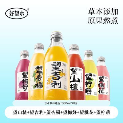 【吉利礼盒】好望水全家福望山楂果味饮料聚会送礼一整箱6瓶