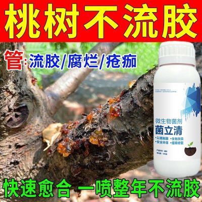 一喷净桃树病菌清桃树流胶病专用炭疽黑星疮痂病微生物菌剂包邮