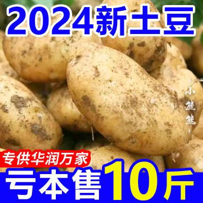 【特价】云南黄皮土豆10斤批发新鲜蔬菜3斤现挖洋芋芋头马铃薯