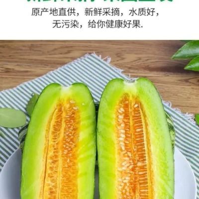 博洋九号现摘甜瓜,现摘现发