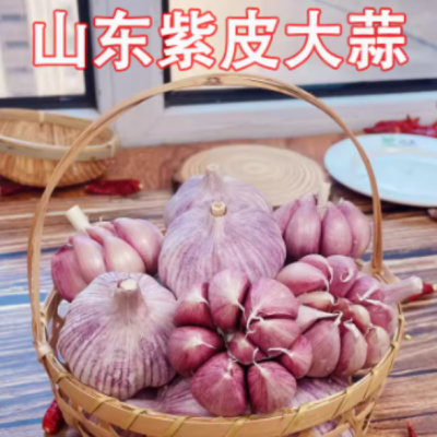 山东金乡紫皮大蒜头干蒜3斤5斤批发新鲜祘头晒干农家蒜米种子直发