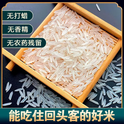 【一级猫牙米】晚稻新米广西正宗长粒香米农家丝苗米细长米象牙米